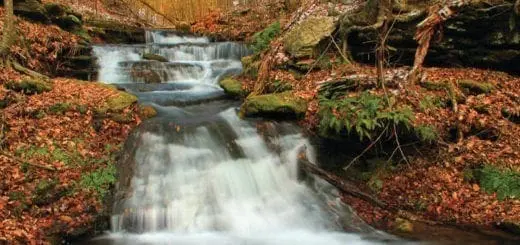 Mommy's Timeout: Cascading Waterfalls