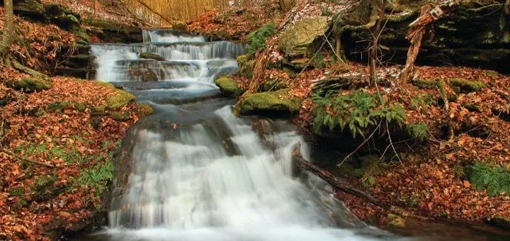 Mommy's Timeout: Cascading Waterfalls