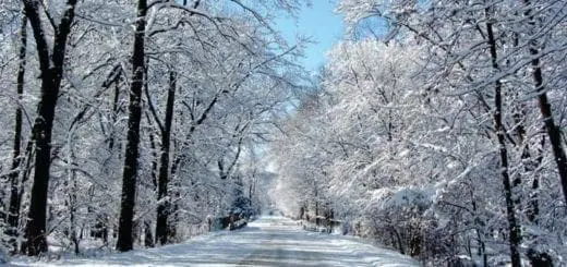 Mommys Timeout Jenison Majestic Drive