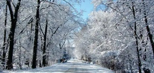 Mommys Timeout Jenison Majestic Drive