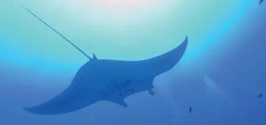 Mommys Timeout Philippines