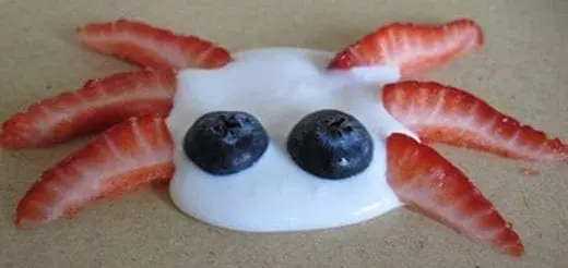 Cooking With Kids Silly Creatures