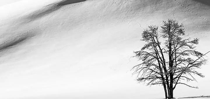 Mommys Timeout Yellowstone National Park