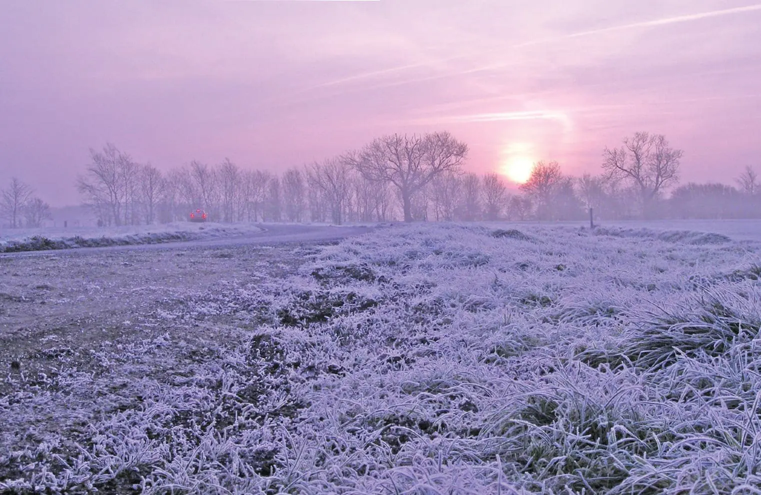 Beautiful Pink Sunrise