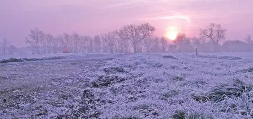 Mommys Timeout Beautiful Pink Sunrise