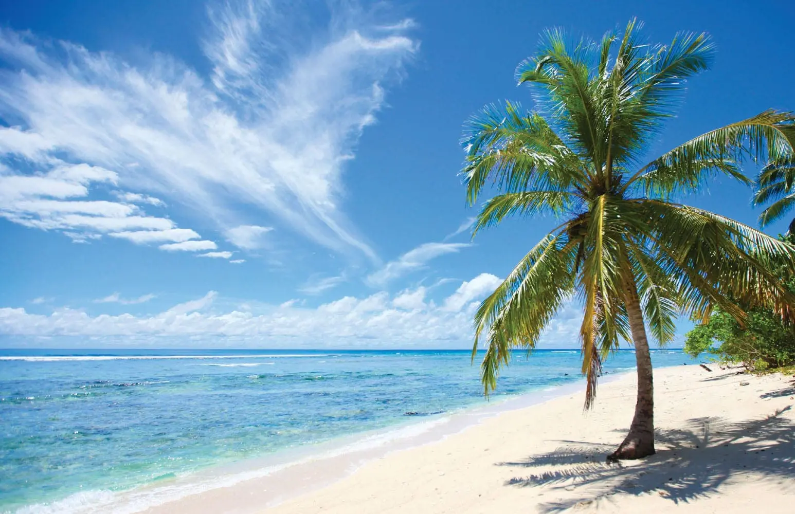 Mentawai Island Magnificent Ocean