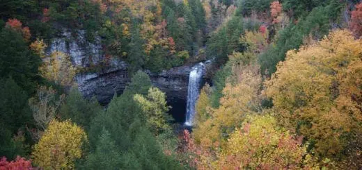 Mommys Timeout Foster Falls Fall Foliage