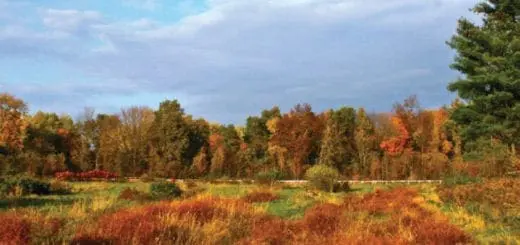 Mommys Timeout Magnificent Fall Colors