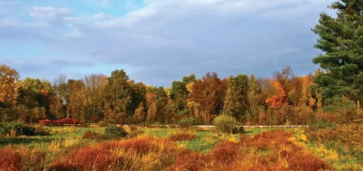 Mommys Timeout Magnificent Fall Colors