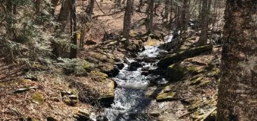 Mommys Timeout Beech Mountain