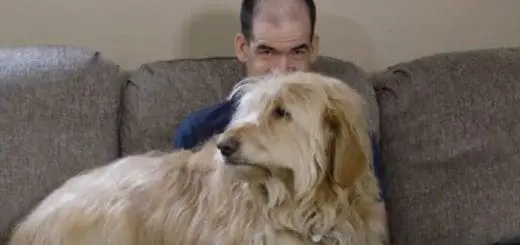 Housing The Best Home for the Individual Should Start By