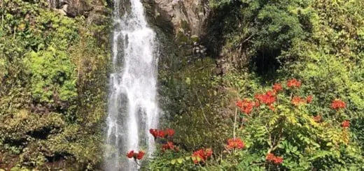 Mommys Timeout Hana Hawaii