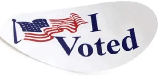 The Most Valuable Sticker I Voted
