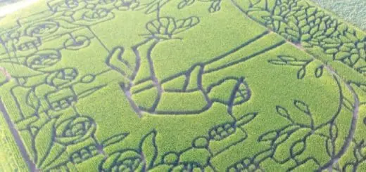 Mommy's Timeout Treinen Farm Maze