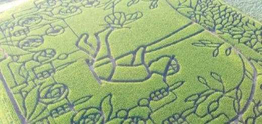 Mommy's Timeout Treinen Farm Maze