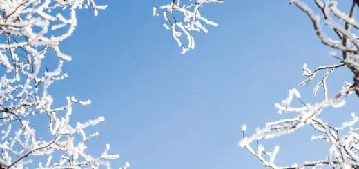 Mommy's Timeout Winter Heart Branches