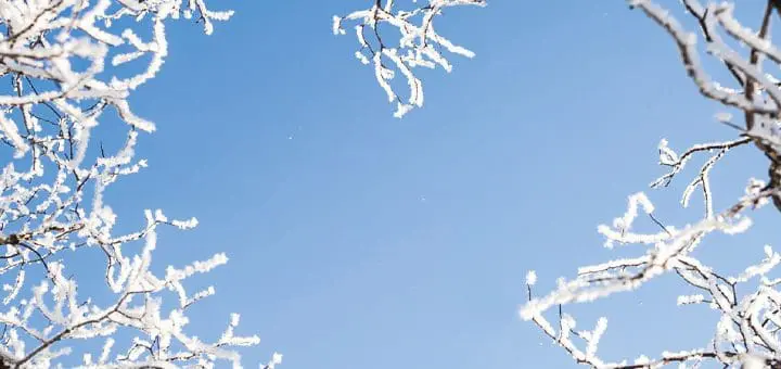 Mommy's Timeout Winter Heart Branches