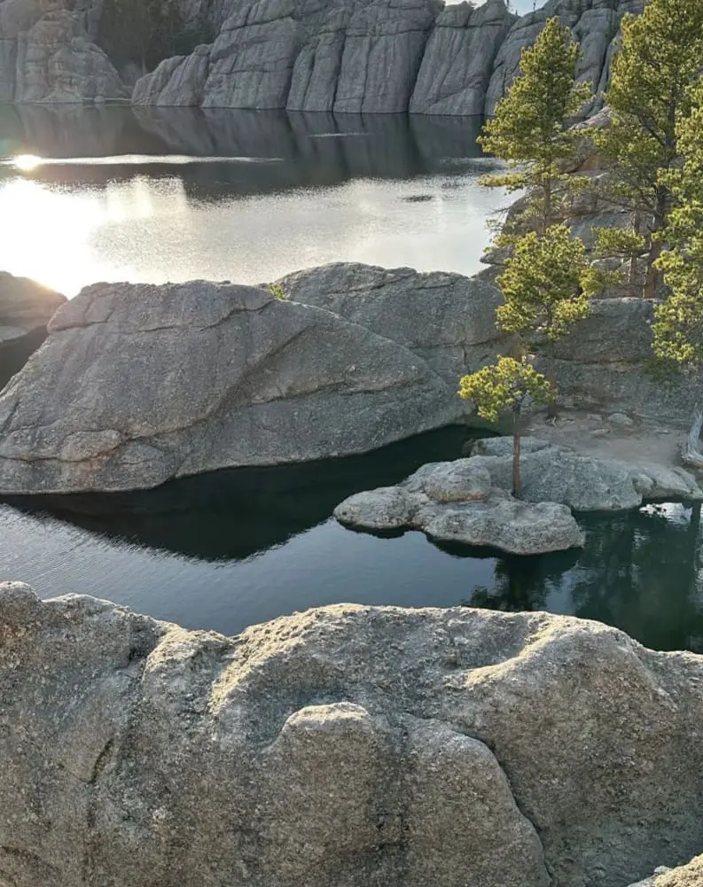 Custer State Park South Dakota