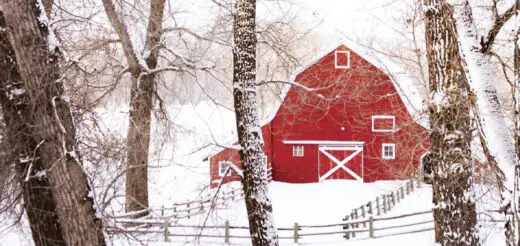 Mommys Timeout Old Red Barn in Winter