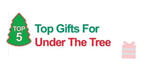Top 5 Gifts For Under The Tree