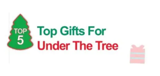 Top 5 Gifts For Under The Tree
