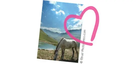 From The Heart Look Up