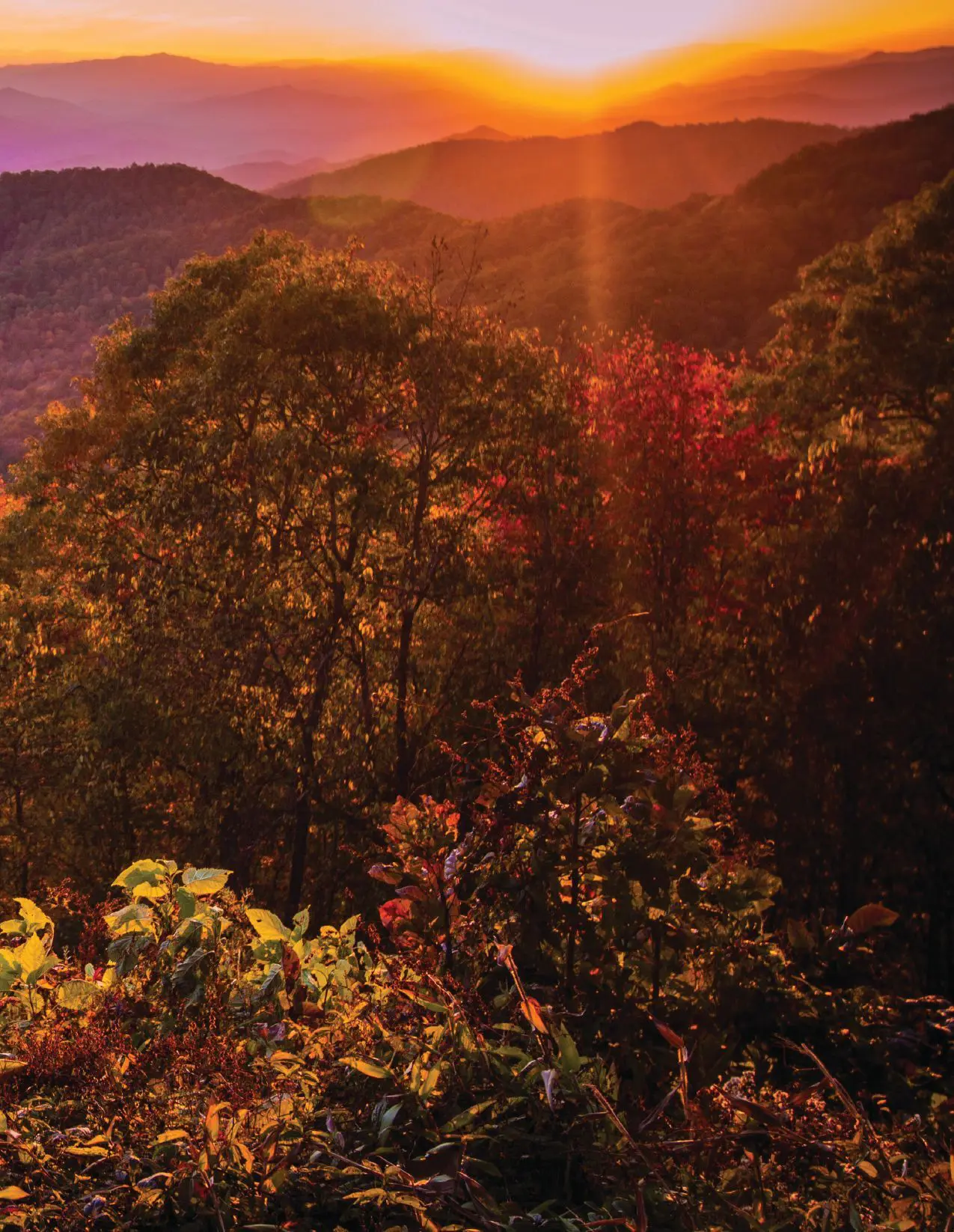 Great Smokey Mountain Autumn Sunset