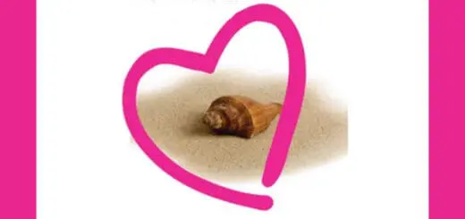 From the Heart Parent Time