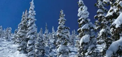 Take a Time Out Winter Wonderland at Monarch Mountain