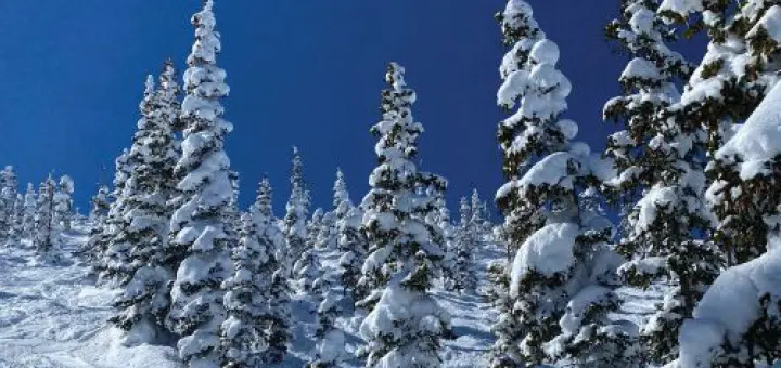 Take a Time Out Winter Wonderland at Monarch Mountain