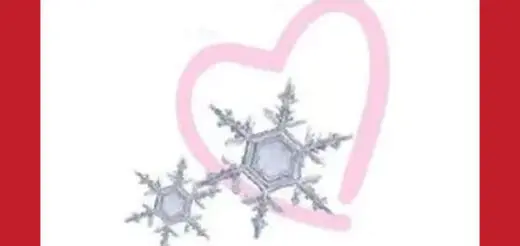 From the Heart Grace and Gratitude