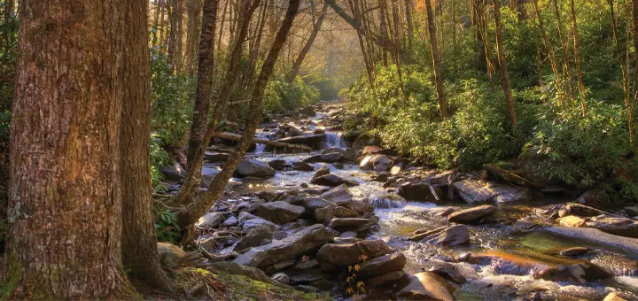 Mommy's Timeout Great Smoky Mountains National Park