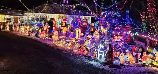 Go on a Holiday Light Scavenger Hunt