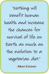 Albert Einstein Quote