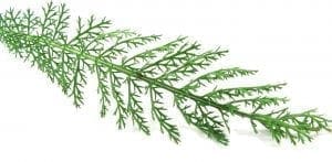 Natural Remedies