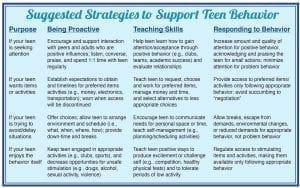 Suggested Strategies to Support Teen Behavior