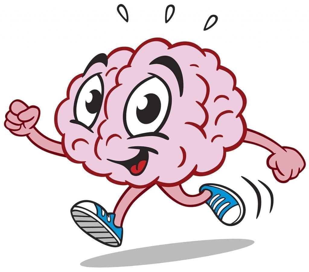 cartoon brain