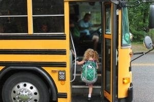 bus