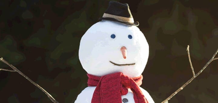 Do You Want To Build A Snowman? Parenting Special Needs Magazine