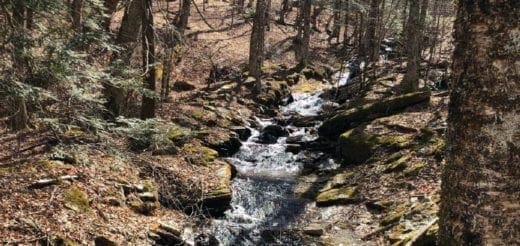 Mommys Timeout Beech Mountain